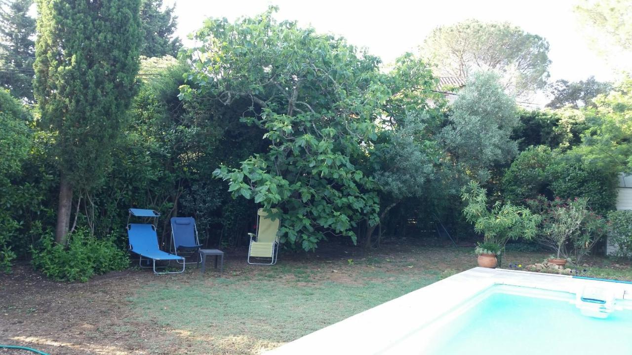 Et Calme Les Avignon Entree Et Cour Independantes Climatisation Piscine Parking Apartment